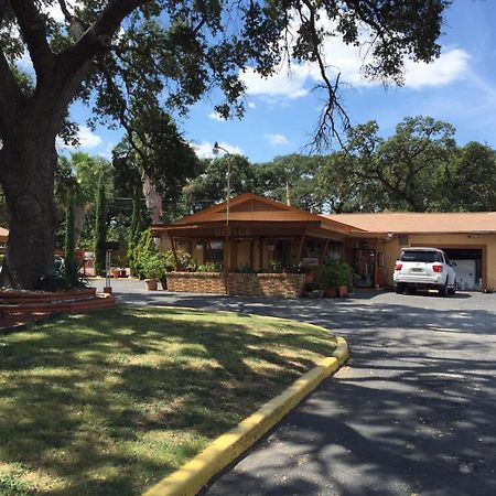 Walnut Forest Motel 奧斯汀 外观 照片