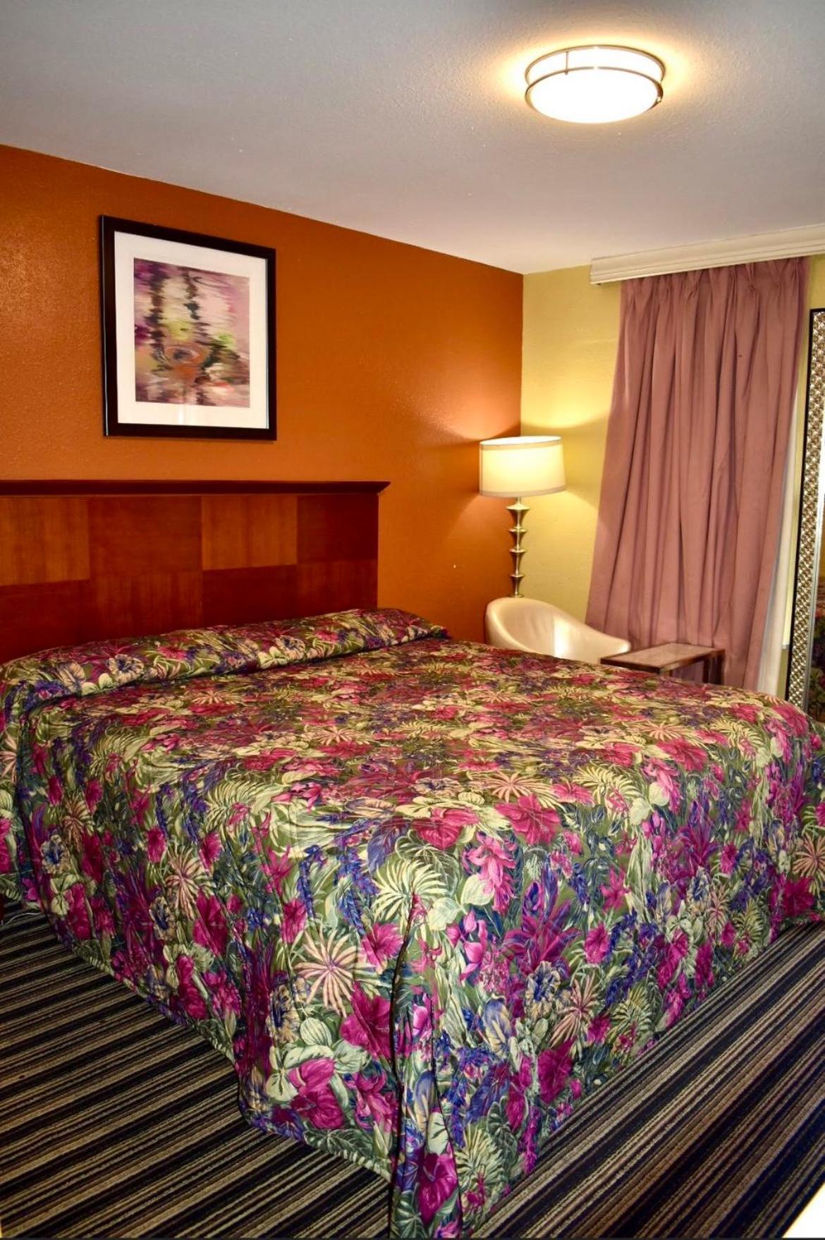 Walnut Forest Motel 奧斯汀 外观 照片
