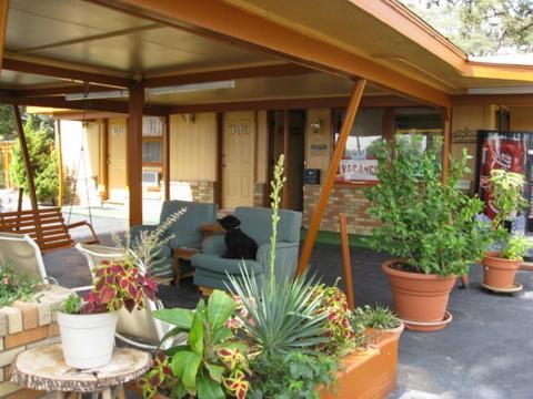 Walnut Forest Motel 奧斯汀 外观 照片